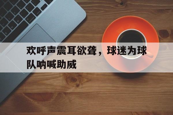欢呼声震耳欲聋，球迷为球队呐喊助威的简单介绍