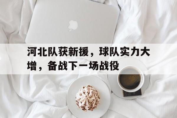 河北队获新援，球队实力大增，备战下一场战役的简单介绍