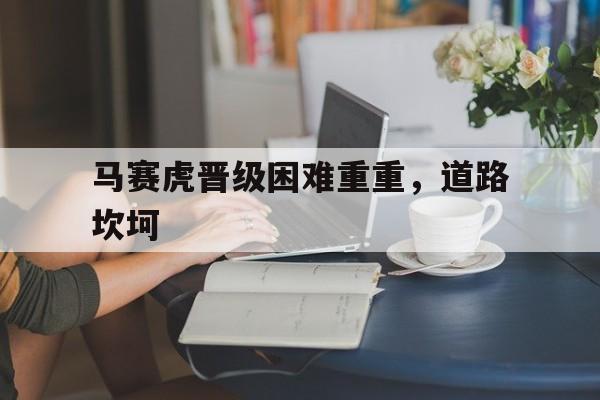 马赛虎晋级困难重重，道路坎坷的简单介绍